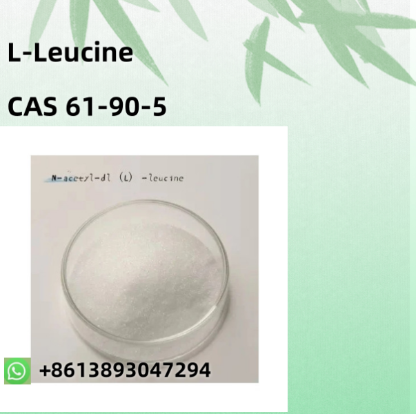 Nutrition Food LLeucine CAS 61905